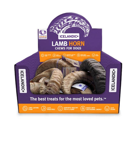 Icelandic+ - Icelandic+ Large Lamb Horn Dog Treat 12-Ct Display Box