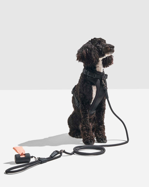 Wild One - Hands-Free Rope Leash