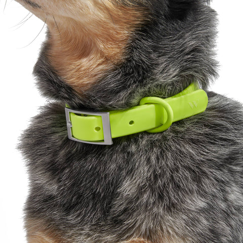 Wild One - Adjustable Waterproof Collar