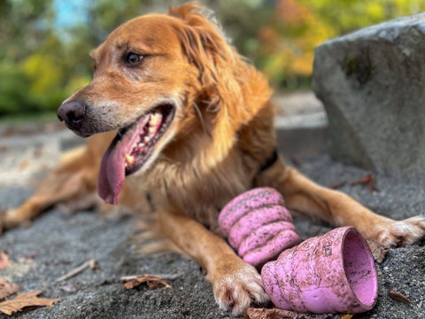 SnoggyDogs - Oinker Pig Snout enrichment toy