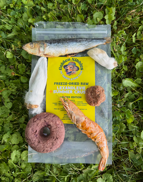 💛 Lex&Levie x Golden Nibbles — Summer Crush 💚