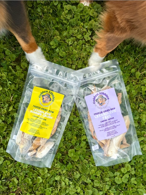 💛 Lex&Levie x Golden Nibbles — Summer Crush 💚