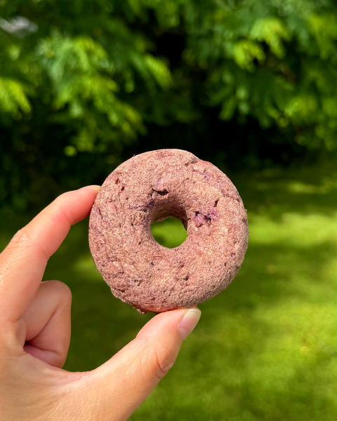 💛 Lex&Levie x Golden Nibbles — Summer Crush 💚