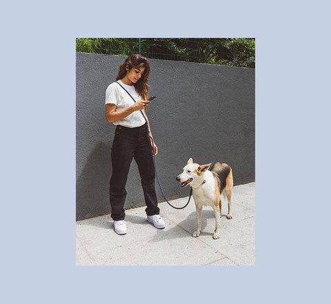 Zee.Dog - Deep Blue | Hands-Free Leash