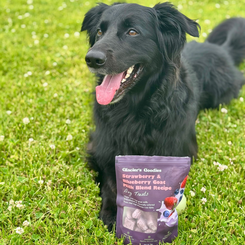 Glacier's Goodies - Goat Milk Dog Treats – Banana & Peanut (7oz) 6pack