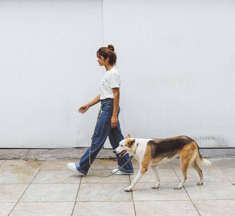 Zee.Dog - Army Green | Hands-Free Leash