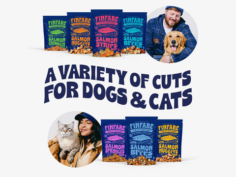 Finfare Pet Foods - 4oz Freeze-Dried Salmon Nuggets for Dogs, 4oz