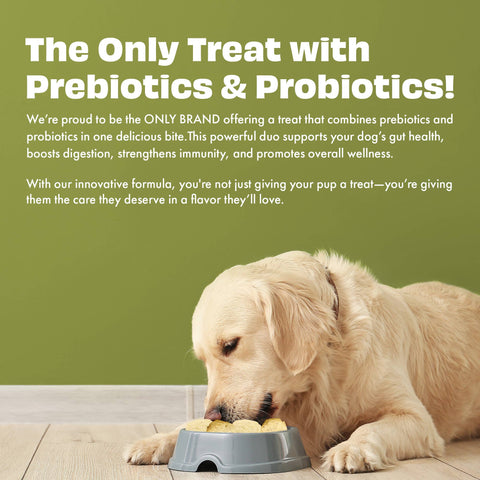 Pawfect Pet Foods Pvt Ltd - USA - Pawfect Yogurt Melties Pre and Probiotic Dog Treats with Pineapple, Coconut, Banana, Dandelion | Healthy Gut l Low Calories | Grain & Gluten Free | Reward or Training Treats (38g/1.34oz)