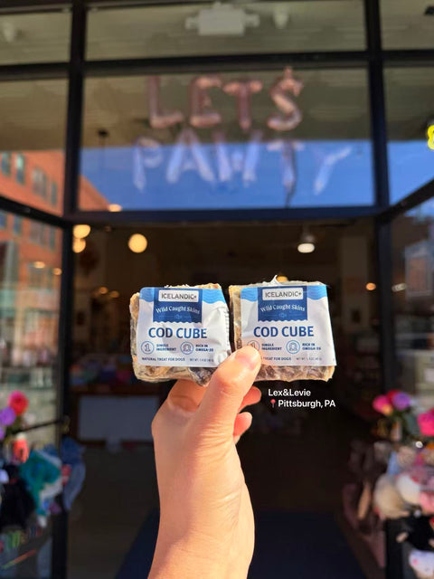 Icelandic+ - Cod Skin Large Cube Dog Treat