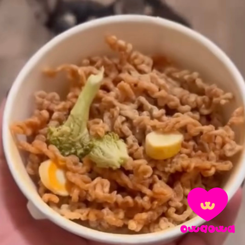 Owa Owa - Pup Noodles Chicken- VIRAL cup noodles for dogs & cats