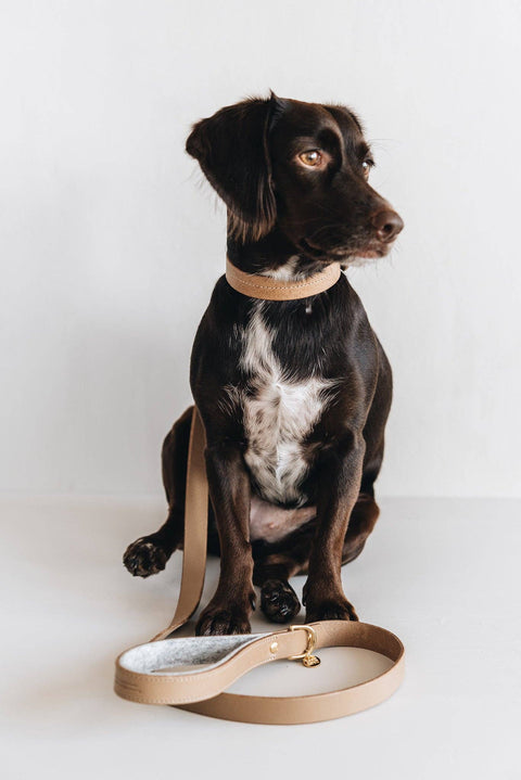 BAND&ROLL - SHORT LEATHER LEASH. HITCH