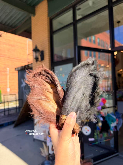 Medium chew - Hairy Bison Ears