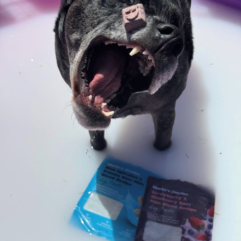 Glacier's Goodies - Goat Milk Dog Treats – Carob (7oz) 6pack