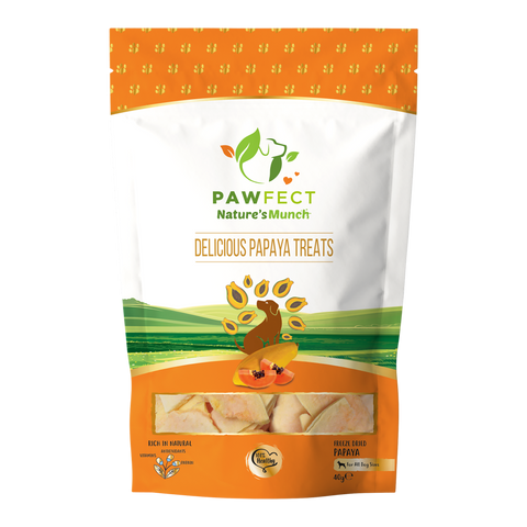 Pawfect Pet Foods Pvt Ltd - USA - Pawfect Nature's Munch Freeze-Dried Papaya Treats for Dogs | Vegan Treat| Prevents Heart Problems | 100% Natural | Grain & Gluten Free | Low Calorie Training Treats (40g/1.41oz)