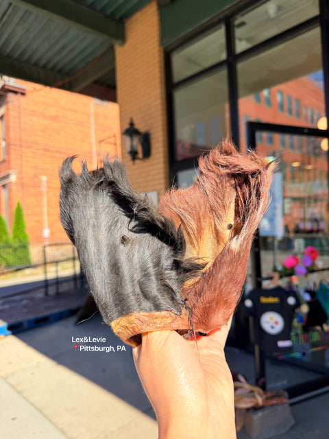 Medium chew - Hairy Bison Ears