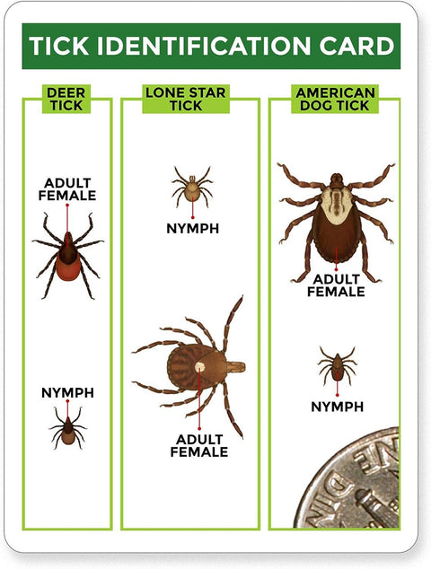 TickCheck - TickCheck Tick Remover Value 3 Pack