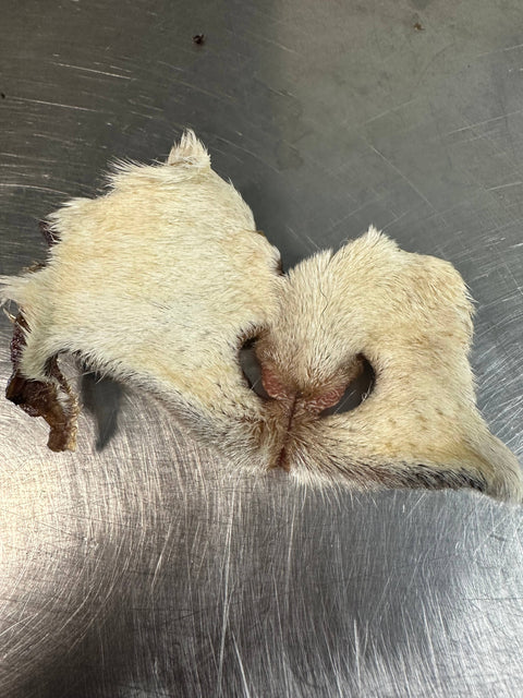 Tapia raw meats for pet food - Goat Snouts