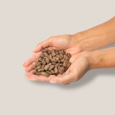 Little Hunter - Raw Chicken Recipe