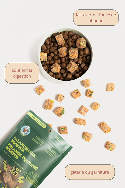 Chien Gourmand - Balanced booster blend