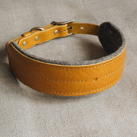 BAND&ROLL - Wool Padded Wide Dog Collar. Pine