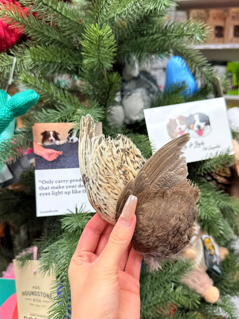Shanny Farms Freeze-Dried Quail Wings for Pets