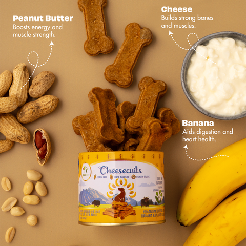 Pawfect Pet Foods Pvt Ltd - USA - Pawfect Cheesecuits | Cheese biscuits for dogs with 80% Cheese & 20% Banana, Peanut Butter & Eggs | All-natural training treats | High protein reward treats | Grain-free| Hypoallergenic| (100g/3.53oz)