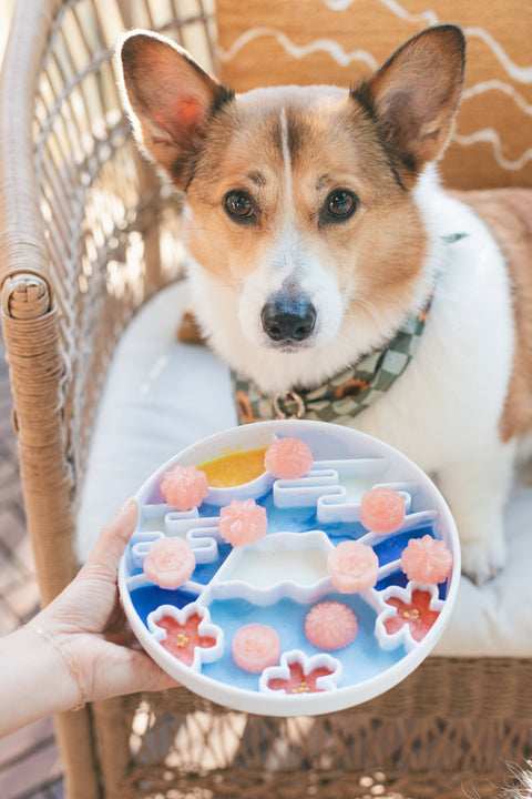 Wild n Fresh Treats - Yama Grub Mat - Mist