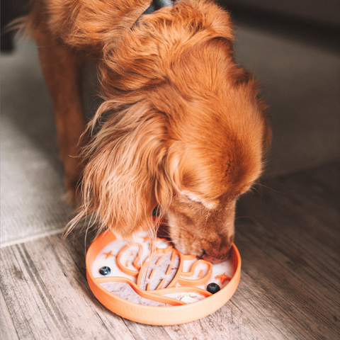 Barks and Brownies - Cactus Silicone Slow Feeder Bowl - Fun, Non-Slip | Tangerine