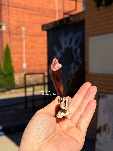 Hard chew - Power Bully Cane