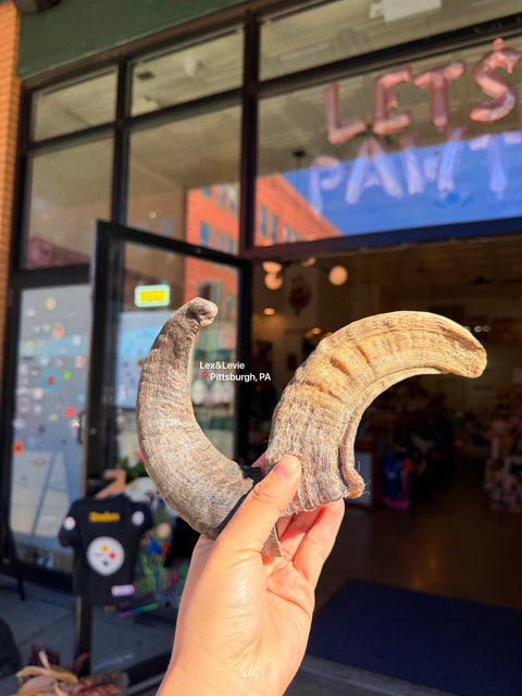 Medium chew - Lamb Horn Dog Treat