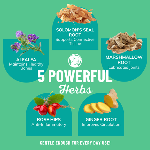 Fido’s - Mobility Bone Broth Liquid