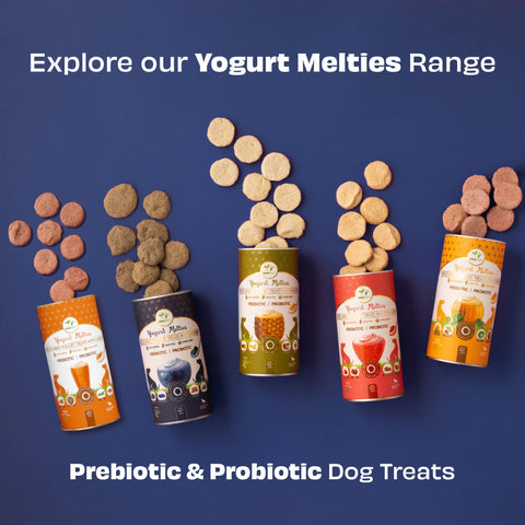 Pawfect Pet Foods Pvt Ltd - USA - Pawfect Yogurt Melties Pre and Probiotic Dog Treats with Blueberry, Cranberry, Blue Spirulina, Mint | Healthy Gut | Low Calories | Grain & Gluten Free | Reward or Training Treats (38g/1.34oz)