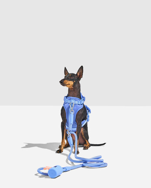 Wild One - Hands-Free Rope Leash