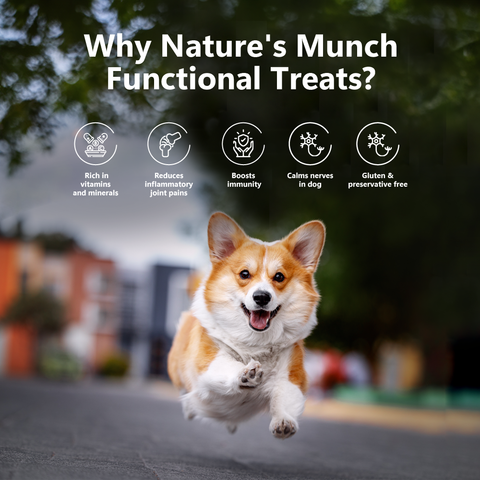 Pawfect Pet Foods Pvt Ltd - USA - Pawfect Nature's Munch Freeze-Dried Joint Care Cheese treats for Dogs| 100% Natural| High Protein, Low Fat| 8 Calories per Treat| Grain-Free| Healthy Training Treat (75g/2.65oz)