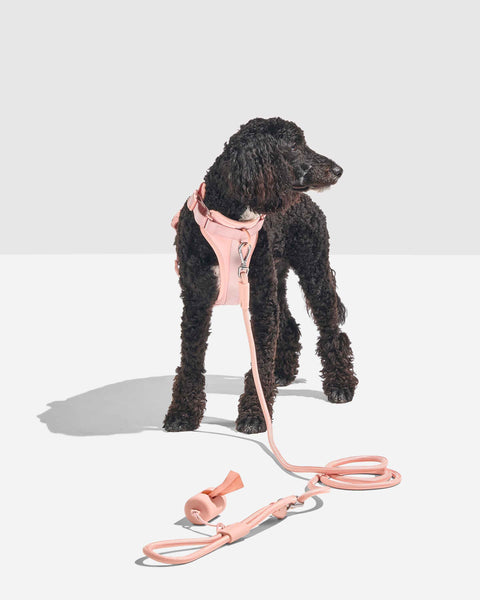 Wild One - Hands-Free Rope Leash