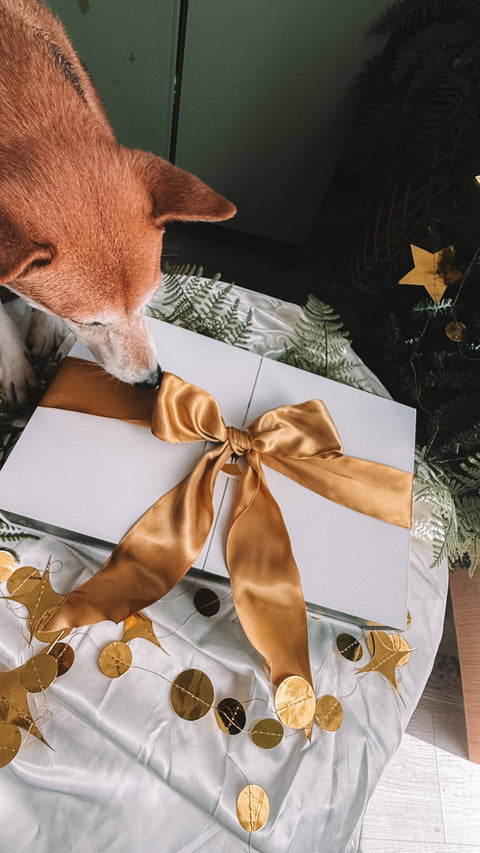 Wild n Fresh Treats - 2025 Holiday Advent Calendar