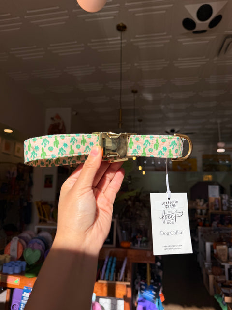 The Foggy Dog - Dog Collar