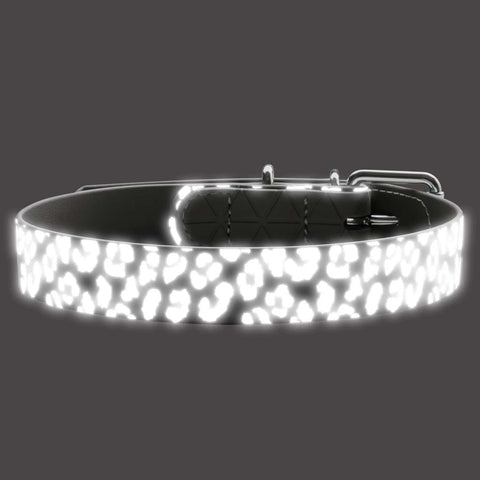 Hunter Glow-in-the-Dark Dog Collar