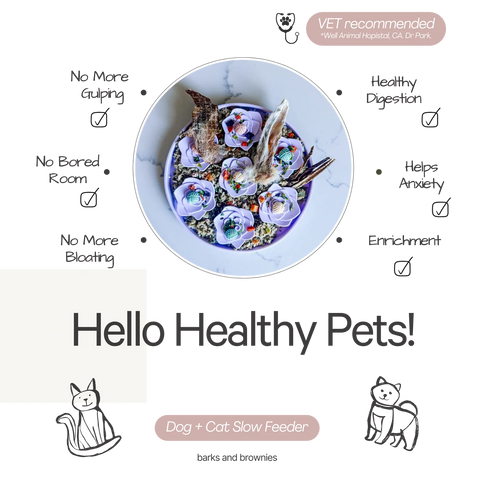 Barks and Brownies - Snuffle Mat