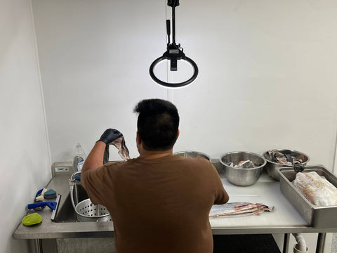 Florida Man Pet Treats - Dehydrated Mahi Mahi Dog Chew