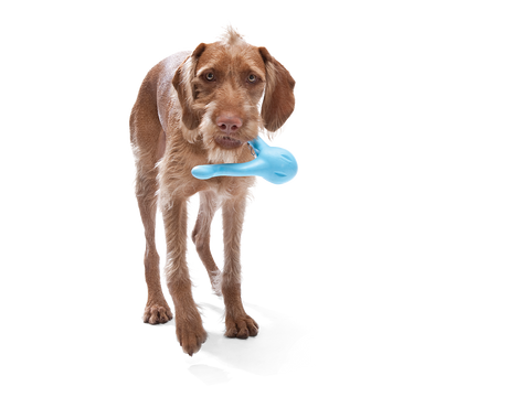 West Paw - Tizzi® Puzzle Treat-Dispensing Dog Enrichment Toy