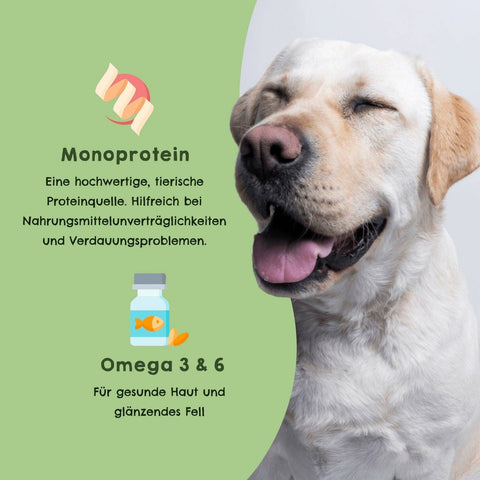 HAPPY JACKY - HAPPY JACKY | extra sensitive high-premium wet food for dogs without grains | Horse with sweet potato, pear & parsley - without preservatives, sugar-free