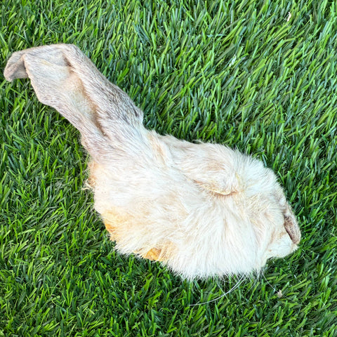 Golden Nibbles - Rabbit Half Head - Freeze-Dried Treat/Chew for Dogs