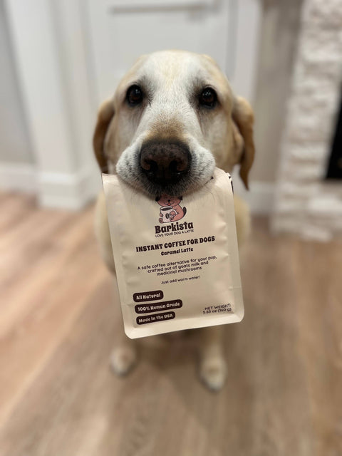 Barkista - Caramel Latte Instant Dog Coffee