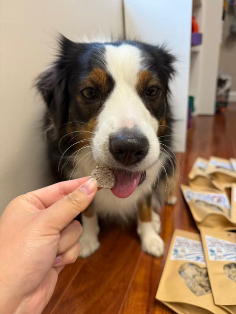 Loving Udders 100% Pure Goat Cheese Dog & Cat Treats