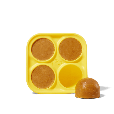 Woof - Pupsicle Treat Tray