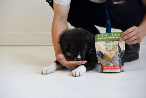 BOSS DOG BRAND, INC. - Boss Dog & Boss Cat Probites W/ Tripe- Beef (3oz)