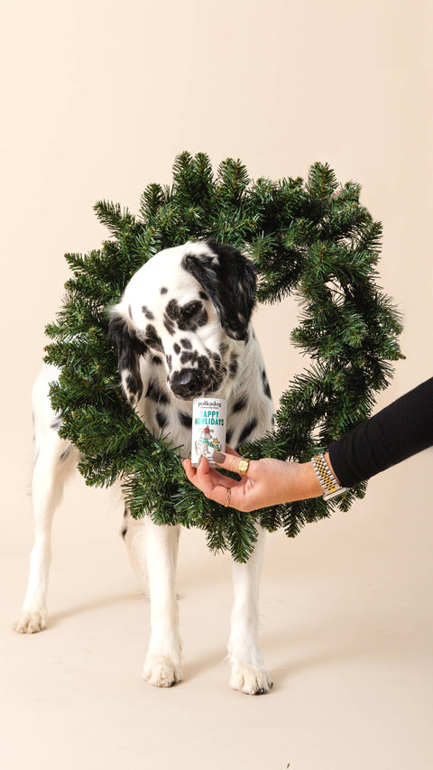 Polkadog - Holiday Mini Tube: Yappy Howlidays - Dog Treats