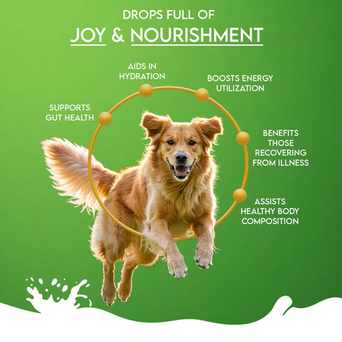 Pawfect Pet Foods Pvt Ltd - USA - Pawfect Nature's Sip 100% Natural Goat Milk Powder for Dogs & Puppies| Easily Digestible| Source of Vitamins, Minerals, Probiotics| Healthy Topper| Hydration Support | Milk Replacer for dogs