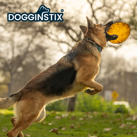 Dogginstix - Beef Collagen UFO - Frisbee Disc